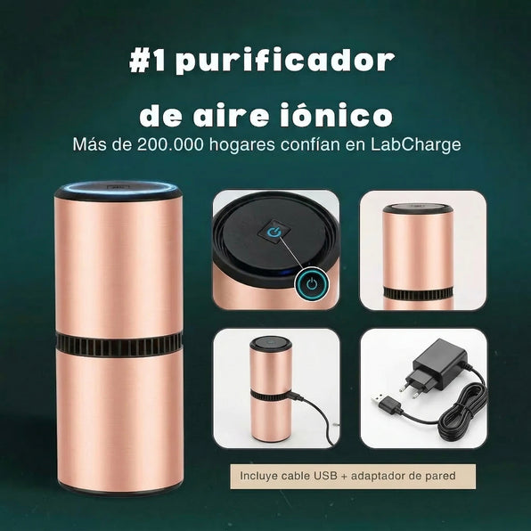 Purificador de aire iónico Rosa Metalizado