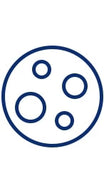 Moho