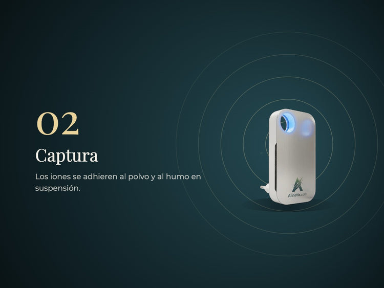 Paso 2: captura